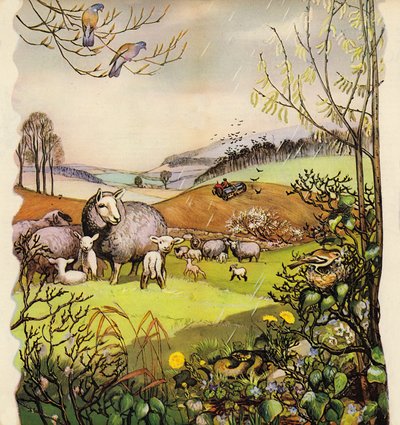 Inizio primavera nella campagna inglese, Inghilterra, anni 